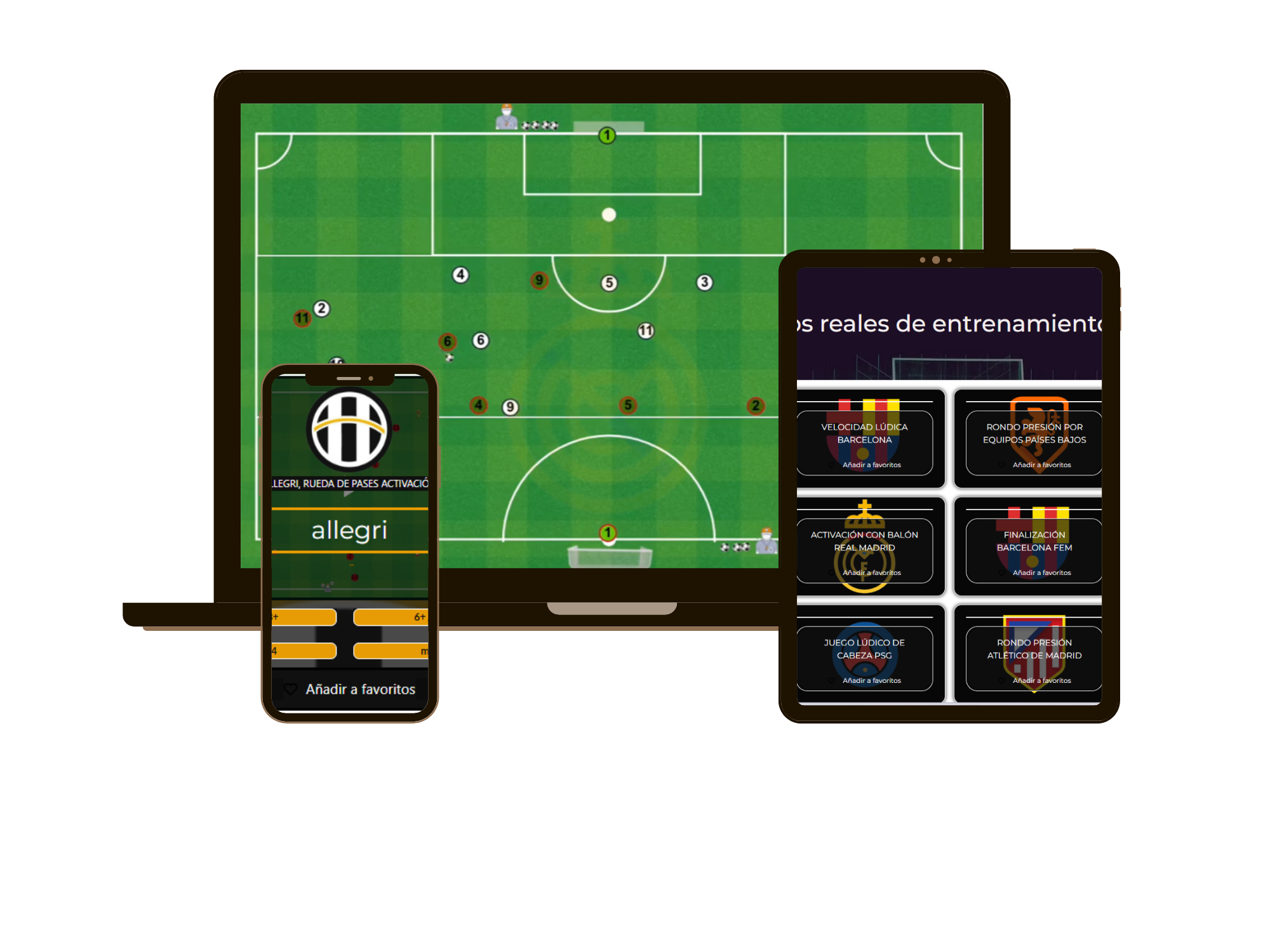 TopLiderCoach Platform